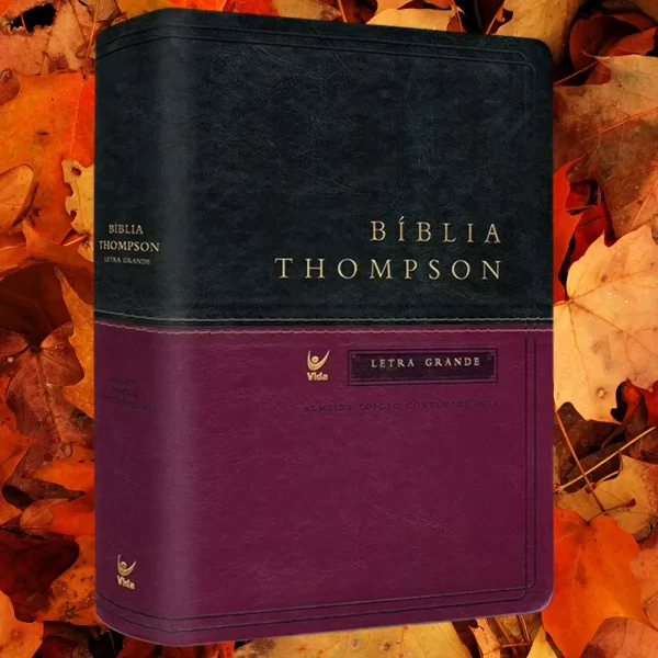 Bíblia De Estudo Thompson - Imagem 2