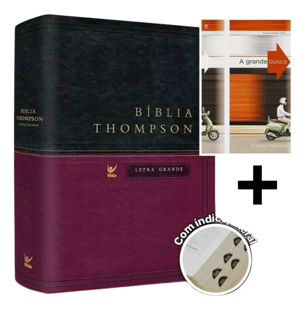 Bíblia De Estudo Thompson - Imagem 3