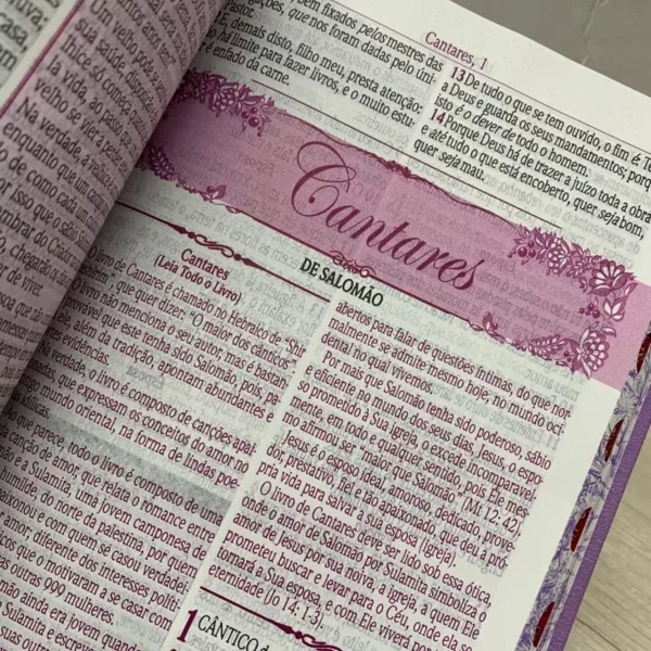 Bíblia De Estudo Da Mulher Sábia - Imagem 3