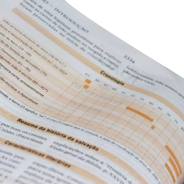 Bíblia De Estudo Naa, SBB. - Imagem 3