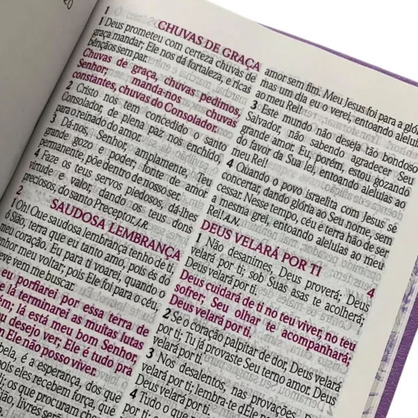 Bíblia De Estudo Da Mulher Sábia - Imagem 6
