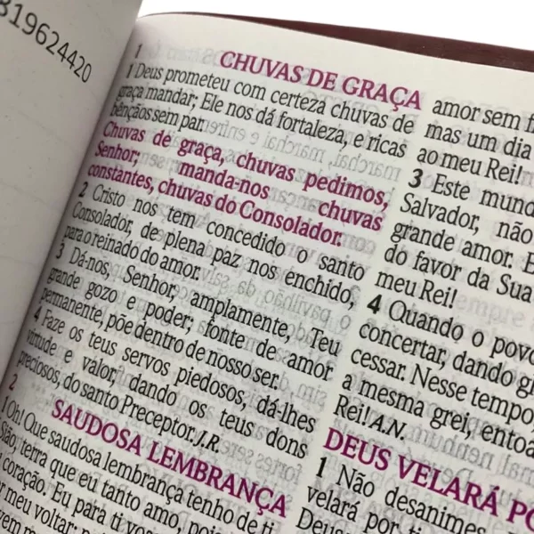 Bíblia De Estudo Da Mulher Sábia - Imagem 13