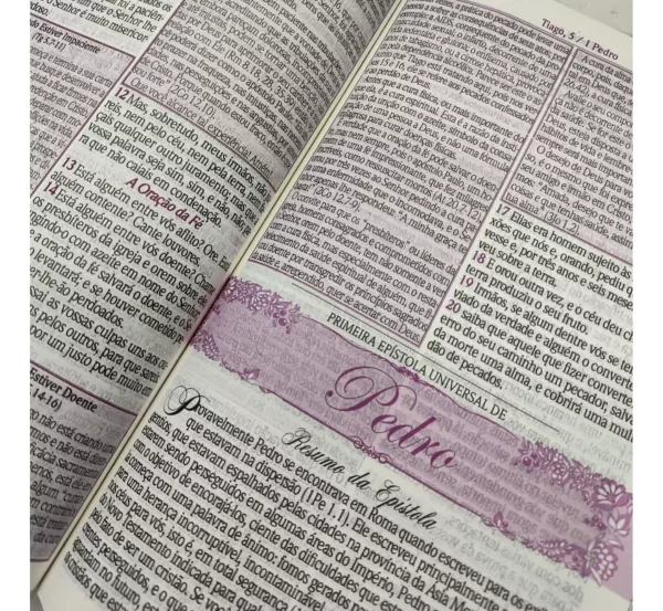 Bíblia De Estudo Da Mulher Sábia - Imagem 16