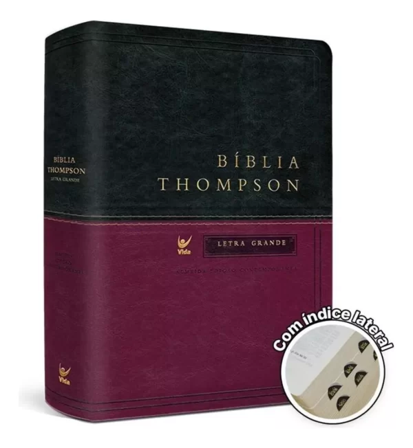 Bíblia De Estudo Thompson - Imagem 8